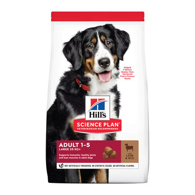 Hill's Adult Large Breed borrego 14 kg ração de cão